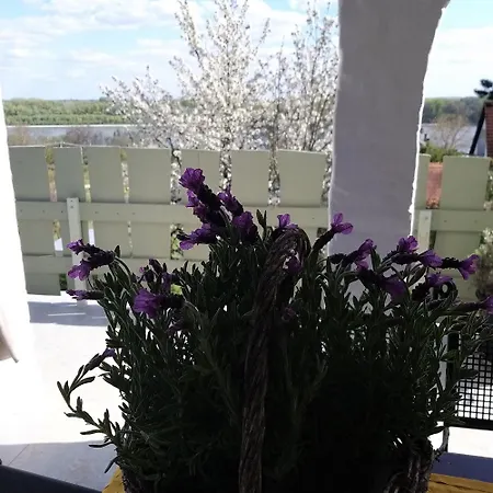Varázshegy Apartman Bar